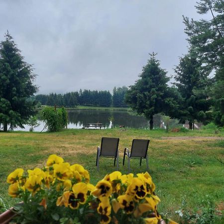 Mieszkanie nad jeziorem Rydzówka+prywatny staw+plaża+Mazury Srokowo Exterior foto
