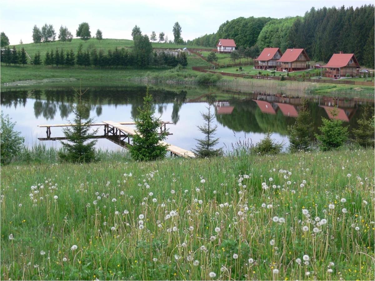 Mieszkanie nad jeziorem Rydzówka+prywatny staw+plaża+Mazury Srokowo Exterior foto