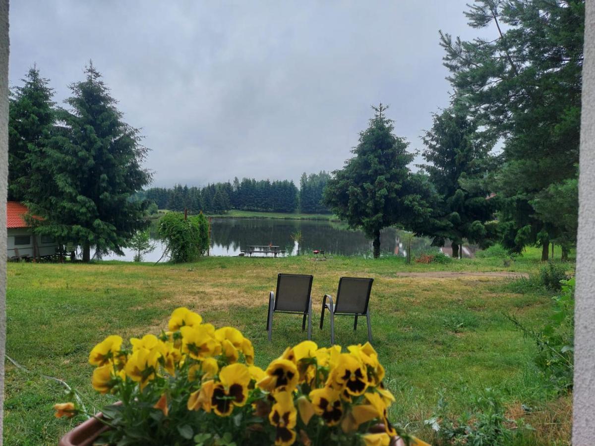 Mieszkanie nad jeziorem Rydzówka+prywatny staw+plaża+Mazury Srokowo Exterior foto